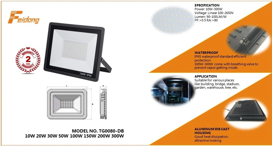 China Manufacturer LED Flood Lamps Feidong 50W SMD Lampara LED Flood Light for Garden Bus Station School Hospital 50watt Outdoor Wall Light LED Work Light